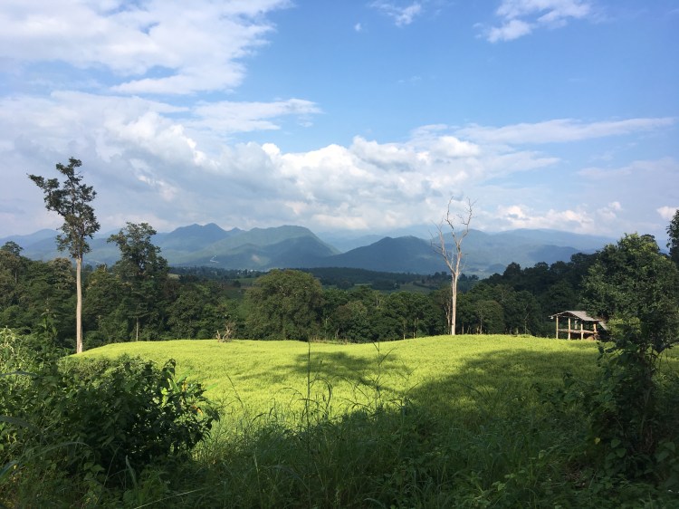 2C0E243D-8DA7-4570-96AB-1D3FC1E566E2