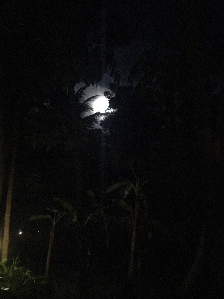 42A08A50-5002-4331-BCB1-24AB94EE5CDA